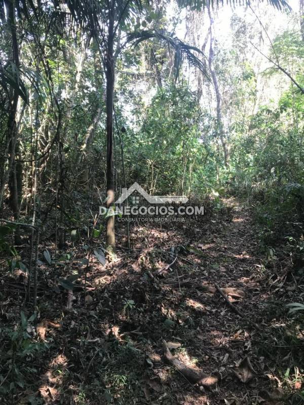 Terreno em Condomínio à venda na Alameda das AzaléiasCinco Lagos - 034223-3.jpeg