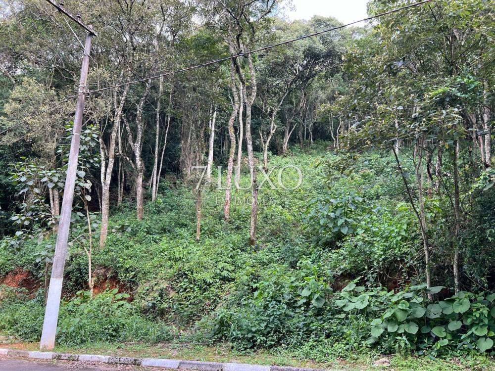 Terreno à venda Boa Vista - terreno-boa-vista-mairipora-114448-15.jpeg